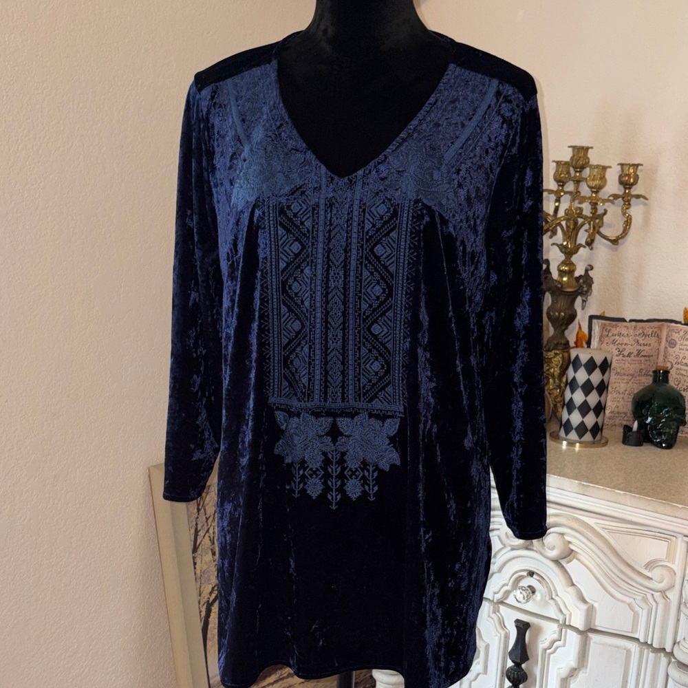 Velvet V-Neck Tunic Top